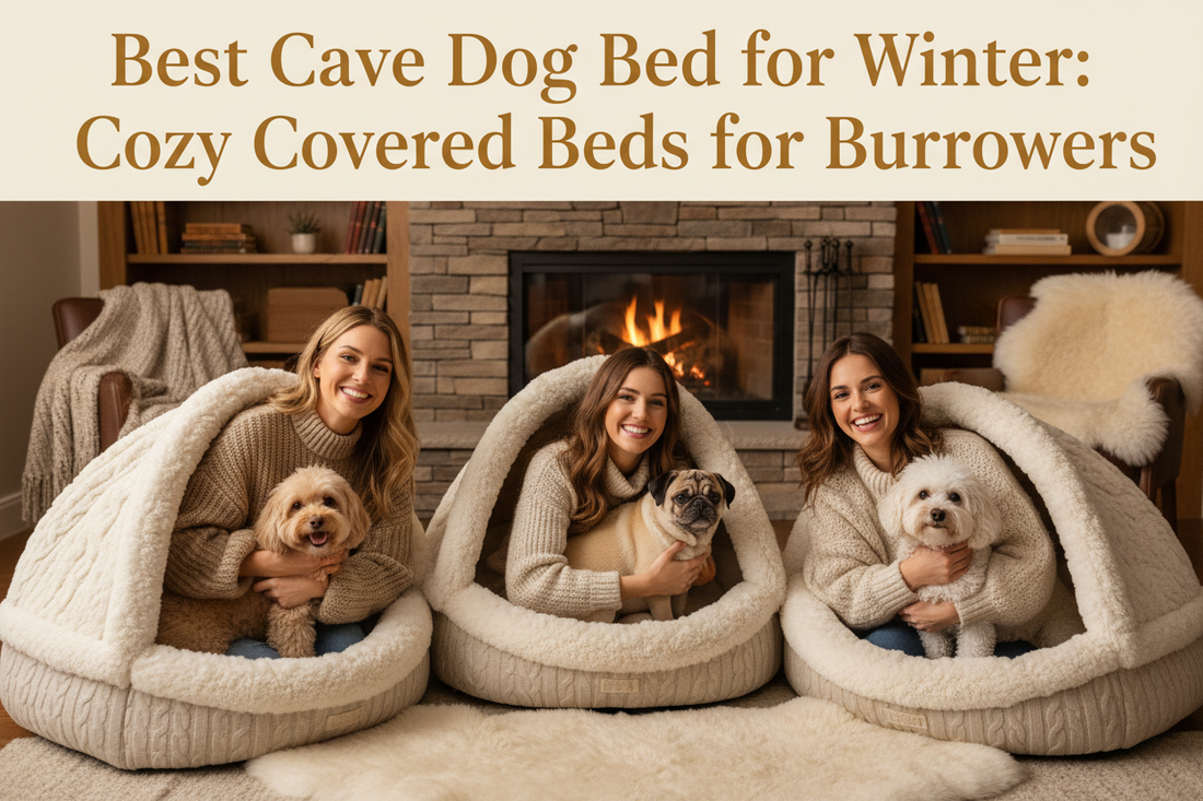 Best Cave Dog Bed for Winter: Cozy Covered Beds for Burrowers