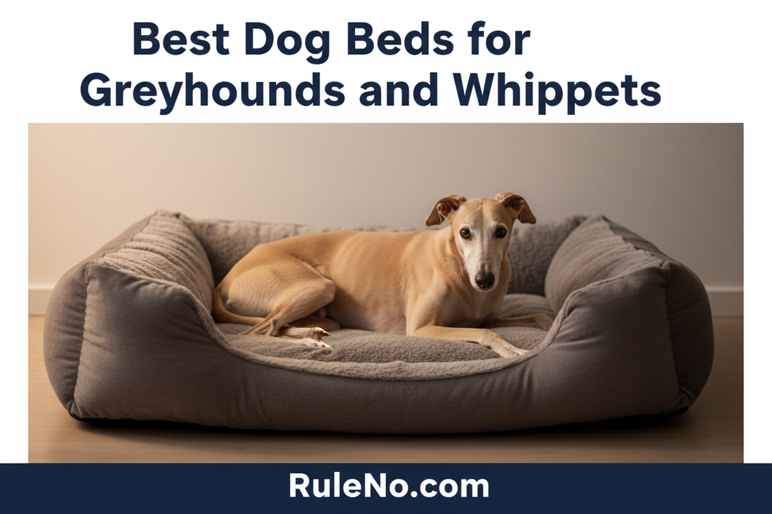 Greyhound lying stretched out on a deep plush warm pet bed, with the title Best Dog Beds for Greyhounds and Whippets at the top and RuleNo.com at the bottom