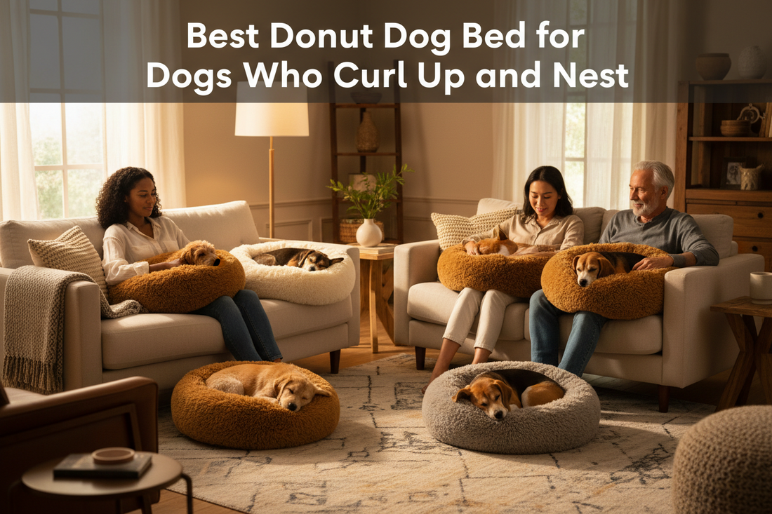 Best Donut Dog Bed for Dogs Who Curl Up and Nest