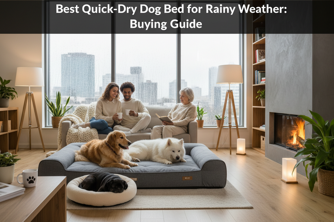 Best Quick-Dry Dog Bed for Rainy Weather: Buying Guide