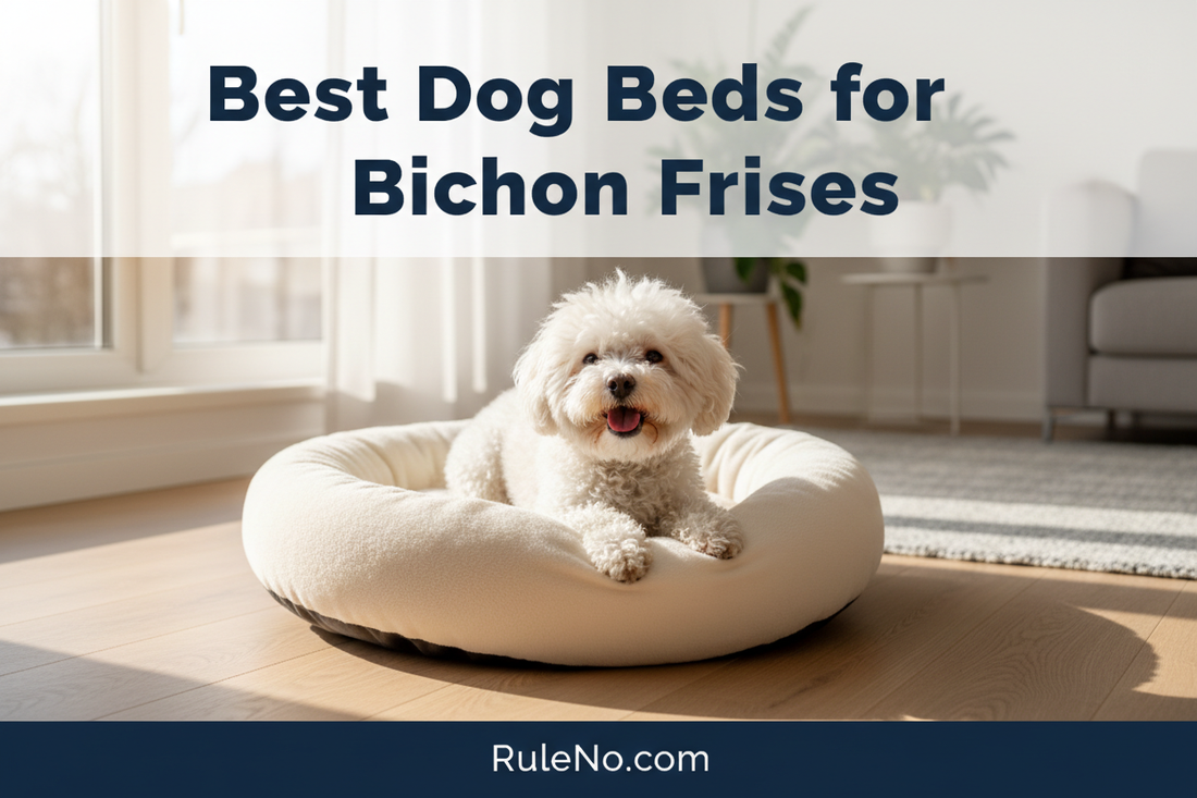 A happy Bichon Frise with a fluffy curly white coat curled up in a plush cream round donut pet bed in a cozy winter living room, with the article title Best Dog Beds for Bichon Frises and a RuleNo.com banner