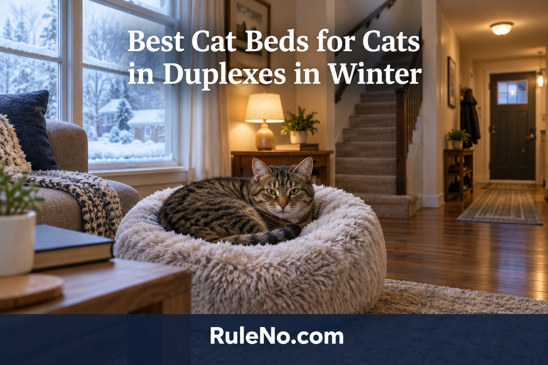 Tabby cat curled in a plush bed in a warm duplex living room during winter