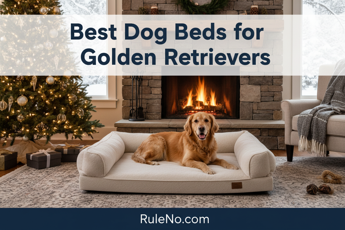 A golden retriever lying in a large plush orthopedic dog bed near a fireplace, with the title Best Dog Beds for Golden Retrievers at the top and RuleNo.com at the bottom