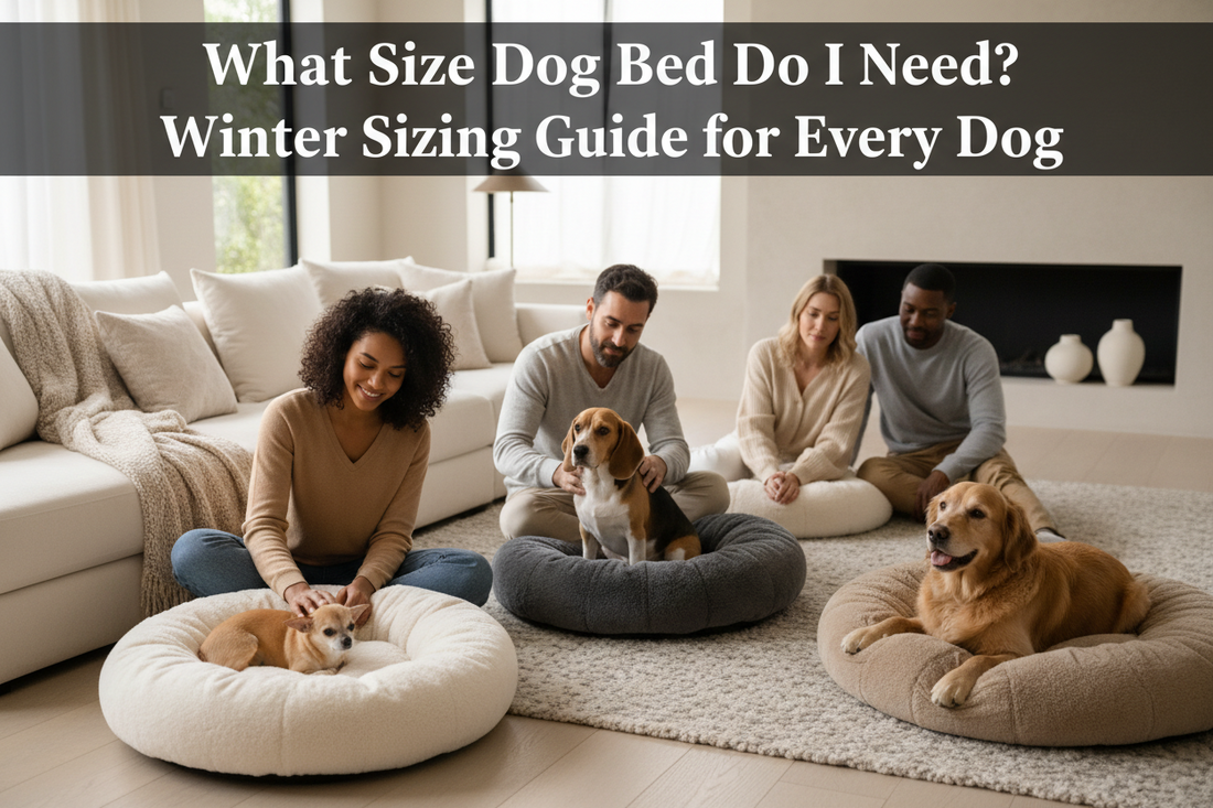 What Size Dog Bed Do I Need? Winter Sizing Guide for Every Dog