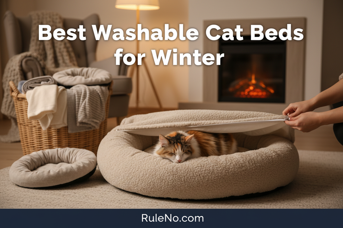 Best Washable Cat Beds for Winter — a calico cat resting in a round plush cat bed while a person removes the washable cover, with a RuleNo.com band